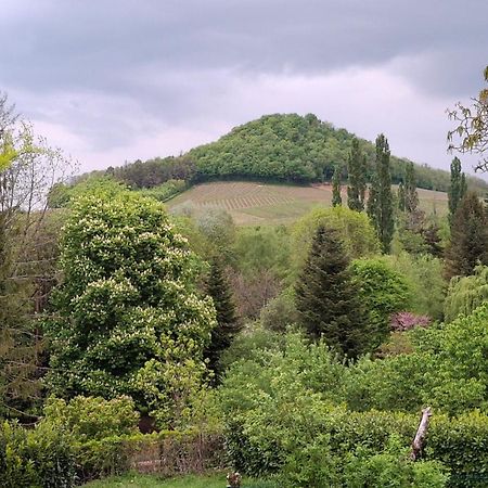 Studio Dans Belle Maison Ancienne Et Jardin Ferme L'Etoile  Eksteriør bilde
